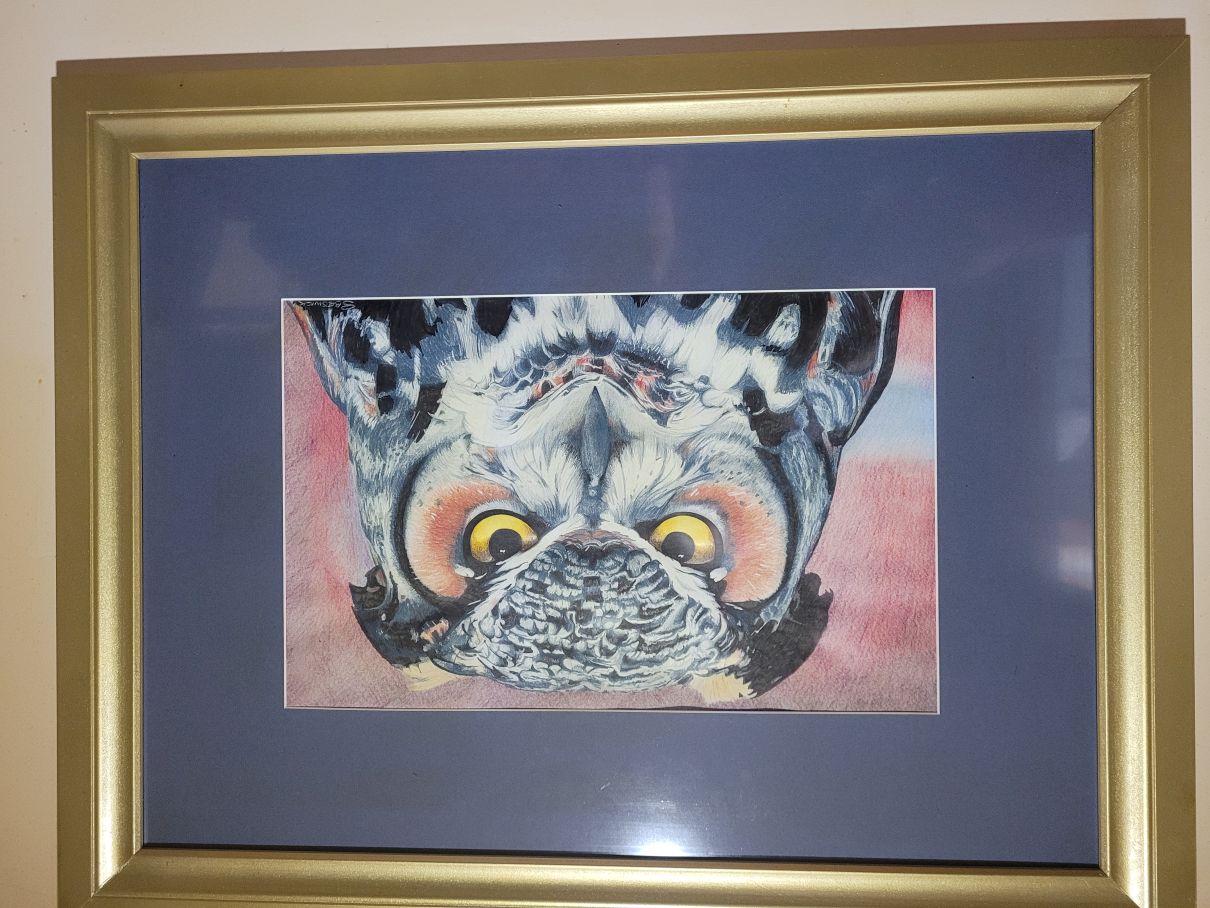 The owl